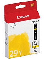  CANON_PGI-29Y